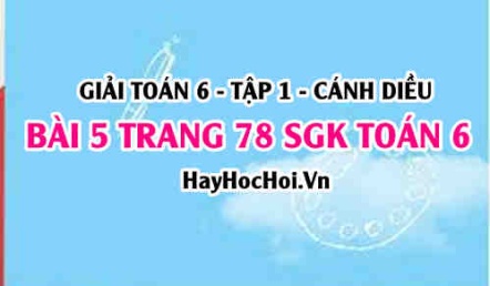 Giải bài 5 trang 78 Toán 6 Tập 1 SGK Cánh Diều